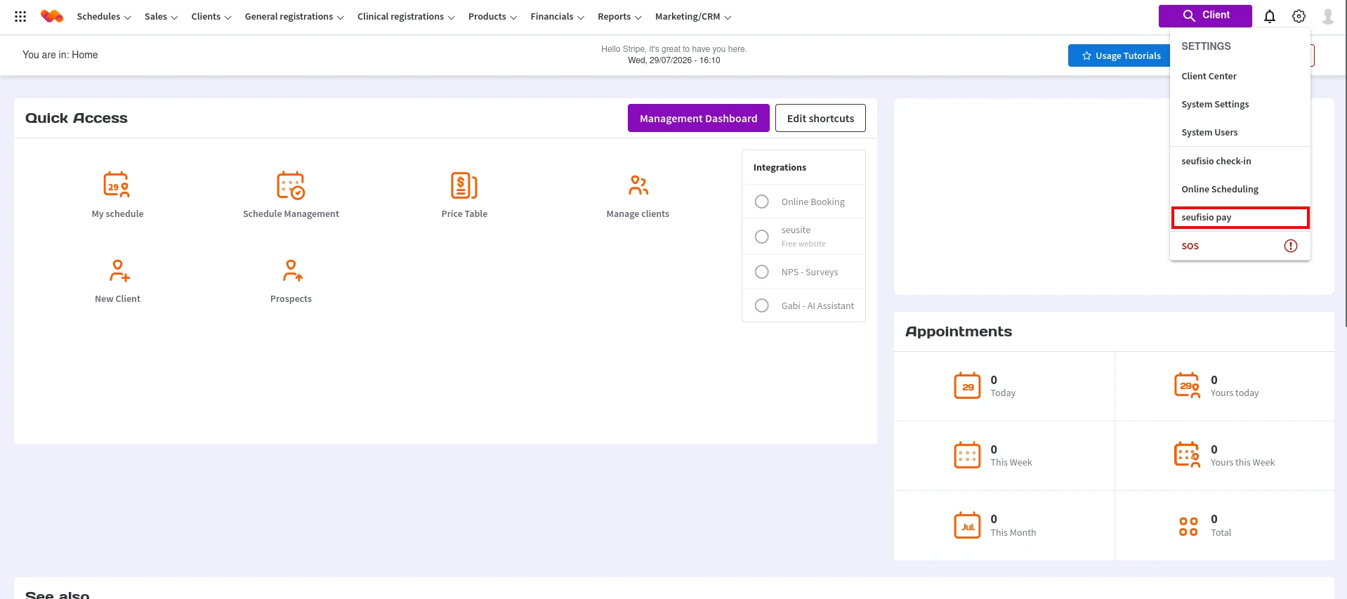 Menu lateral com o item seufisio pay